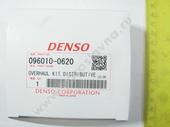 096010-0620   . Direct Injection     Denso