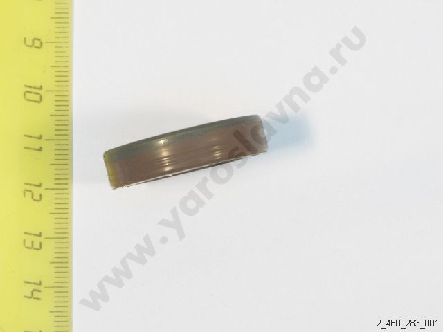 2 460 283 001 Сальник 20х31х7,3 BOSCH Ярославна - топливная аппаратура ...