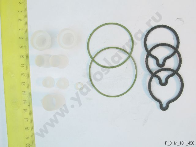 F01M 101 456 visual data 3